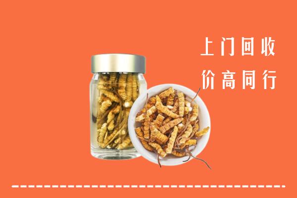 德惠市回收冬虫夏草